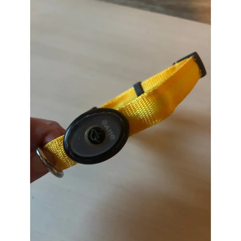 Elive Yellow LED Dog Collar 3/4" width Adjustable M 15" - 20" - Picture 4 of 6
